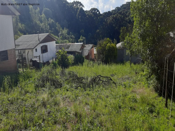 Imagem Terreno à Venda, 540 m² em Mato Queimado - Gramado Imagem Terreno à Venda, 540 m² em Mato Queimado - Gramado