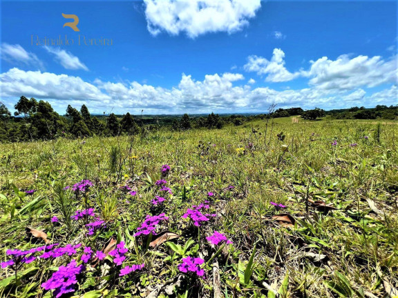 Imagem Chácara à Venda, 1 m² em Fiuza - Viamão Imagem Chácara à Venda, 1 m² em Fiuza - Viamão