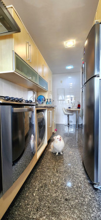 Imagem Apartamento com 3 Quartos à Venda, 116 m² em Vila Romana - São Paulo Imagem Apartamento com 3 Quartos à Venda, 116 m² em Vila Romana - São Paulo