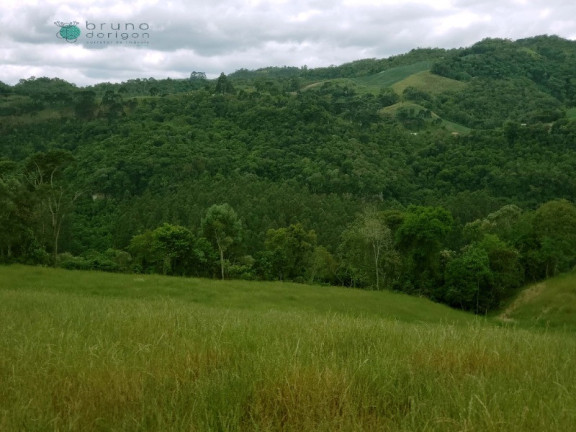 Imagem Imóvel à Venda, 70.000 m² em Zona Rural - Alfredo Wagner Imagem Imóvel à Venda, 70.000 m² em Zona Rural - Alfredo Wagner