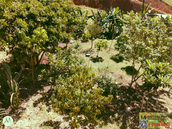 Imagem Imóvel com 2 Quartos à Venda, em Morro Do Descanso - Major Gercino Imagem Imóvel com 2 Quartos à Venda, em Morro Do Descanso - Major Gercino