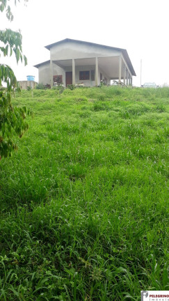 Imagem Imóvel com 2 Quartos à Venda, 95 m² em Zona Rural - Sentinela Do Sul Imagem Imóvel com 2 Quartos à Venda, 95 m² em Zona Rural - Sentinela Do Sul