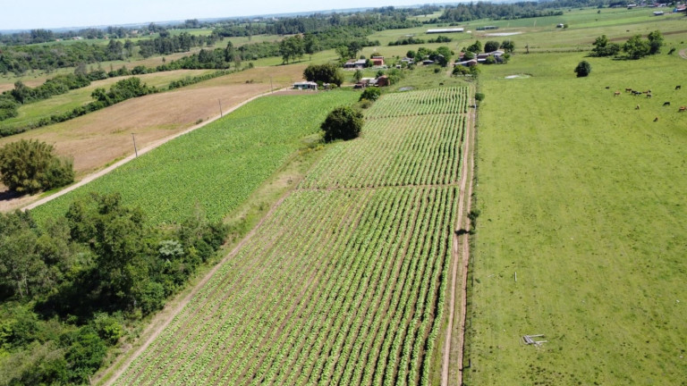 Imagem Chácara com 2 Quartos à Venda, 68.000 m² em Zona Rural - Vale Do Sol Imagem Chácara com 2 Quartos à Venda, 68.000 m² em Zona Rural - Vale Do Sol