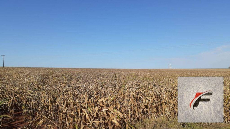 Imagem Fazenda à Venda, 1.379.400 m² em Centro - Boa Ventura De São Roque