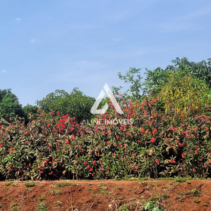 Imagem Terreno à Venda, 312 m² em Toríbio Veríssimo - Cruz Alta Imagem Terreno à Venda, 312 m² em Toríbio Veríssimo - Cruz Alta