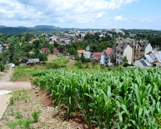 Imagem Imóvel à Venda, 684 m² em Pousada Da Neve - Nova Petrópolis