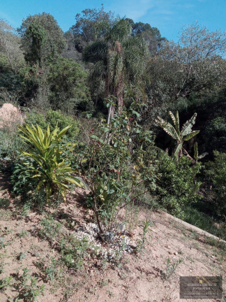 Imagem Imóvel com 3 Quartos à Venda, 2.000 m² em Porta Do Sol - Mairinque