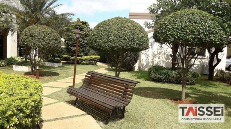 Imagem Apartamento com 4 Quartos à Venda, 62 m² em Vila Santa Catarina - São Paulo Imagem Apartamento com 4 Quartos à Venda, 62 m² em Vila Santa Catarina - São Paulo