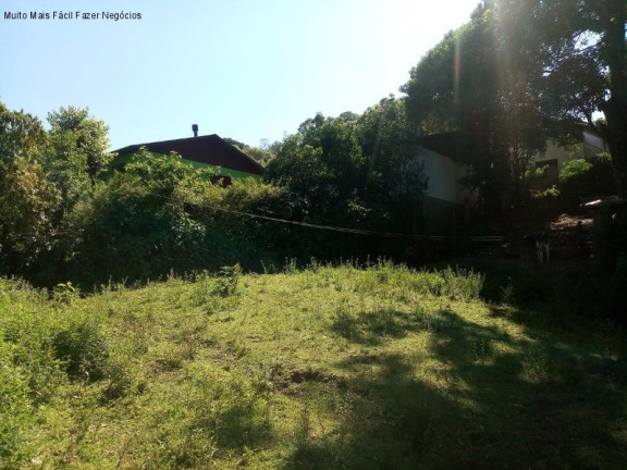 Terreno à Venda, 3.500 m² em Piá - Nova Petrópolis