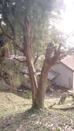 Terreno à Venda, 2.506 m² em Centro - Florianópolis