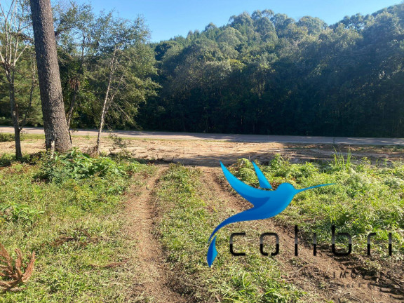 Imagem Terreno à Venda, 5.220 m² em Trigolândia - Piên Imagem Terreno à Venda, 5.220 m² em Trigolândia - Piên