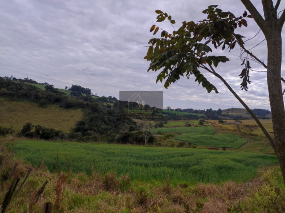 Imagem Terreno à Venda, 2.600 m² em Tomazina - Tomazina Imagem Terreno à Venda, 2.600 m² em Tomazina - Tomazina