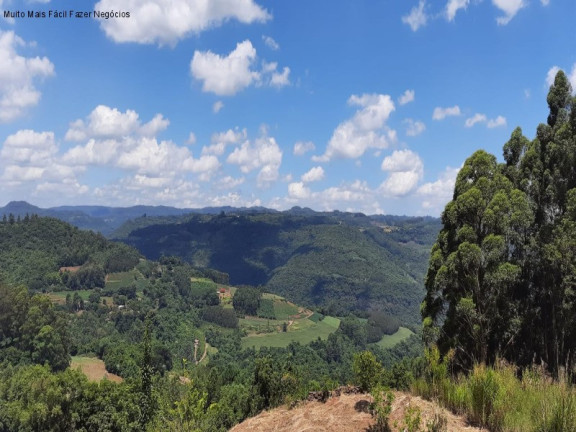 Imagem Casa com 2 Quartos à Venda, 70 m² em Pinhal Alto - Nova Petrópolis