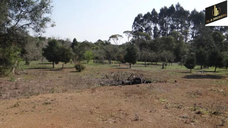 Imagem Imóvel com 4 Quartos à Venda, 84.000 m² em Jardim Itaqui - Campo Largo
