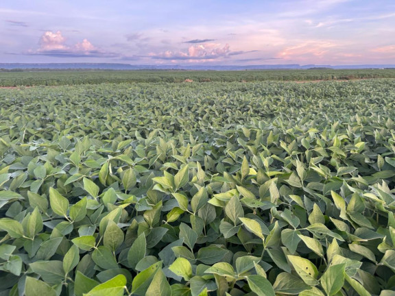 Imagem Fazenda à Venda, 9.700 m² em Rural - Pontes E Lacerda Imagem Fazenda à Venda, 9.700 m² em Rural - Pontes E Lacerda