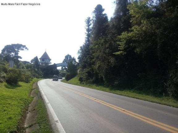 Imagem Terreno à Venda, 5.863 m² em Morro Korb - Nova Petrópolis Imagem Terreno à Venda, 5.863 m² em Morro Korb - Nova Petrópolis
