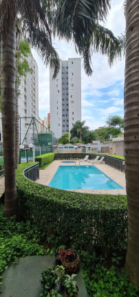 Imagem Apartamento com 3 Quartos à Venda, 59 m² em Vila Talarico - São Paulo