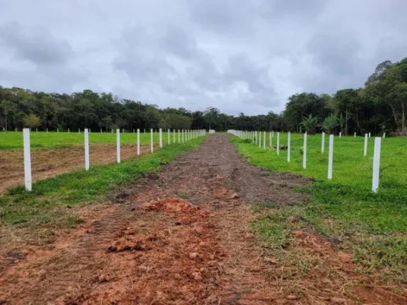 Imagem Imóvel à Venda, 22.233 m² em Colonia Quintilha - Paranagua Imagem Imóvel à Venda, 22.233 m² em Colonia Quintilha - Paranagua