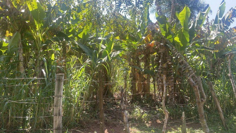 Imagem Imóvel com 3 Quartos à Venda, 200 m² em Rio Verde - Bauru