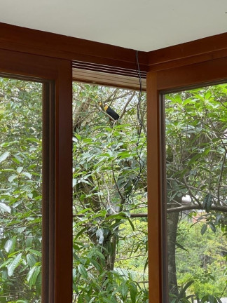Imagem Casa com 3 Quartos para Alugar, 450 m² em Santo Inácio - Santa Cruz Do Sul Imagem Casa com 3 Quartos para Alugar, 450 m² em Santo Inácio - Santa Cruz Do Sul