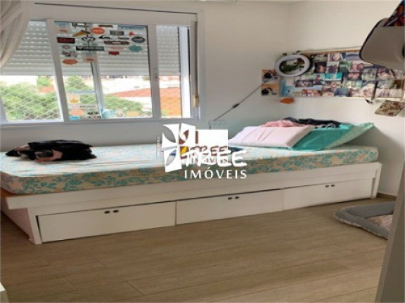 Imagem Apartamento com 3 Quartos à Venda, 61 m² em Santana - São Paulo Imagem Apartamento com 3 Quartos à Venda, 61 m² em Santana - São Paulo