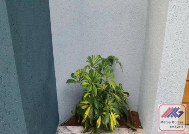 Imagem Casa com 2 Quartos à Venda, 57 m² em Cangaiba - São Paulo Imagem Casa com 2 Quartos à Venda, 57 m² em Cangaiba - São Paulo