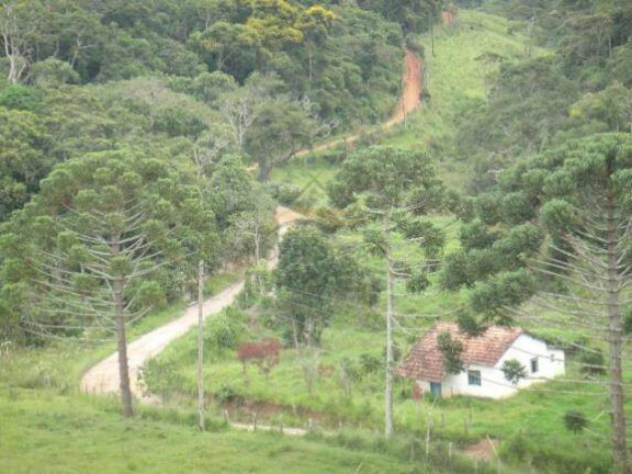 Imagem Fazenda à Venda, 155 m² em São Miguel - Lorena
