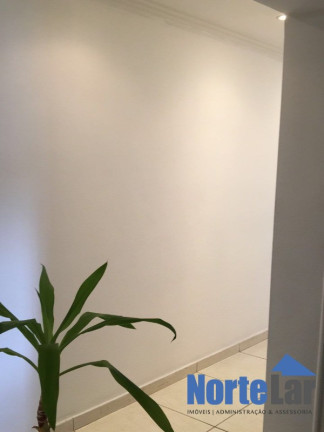 Imagem Apartamento com 2 Quartos à Venda, 50 m² em Vila Jaraguá - São Paulo