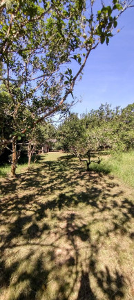 Imagem Chácara à Venda, 20.000 m² em Itapuã - Viamão Imagem Chácara à Venda, 20.000 m² em Itapuã - Viamão