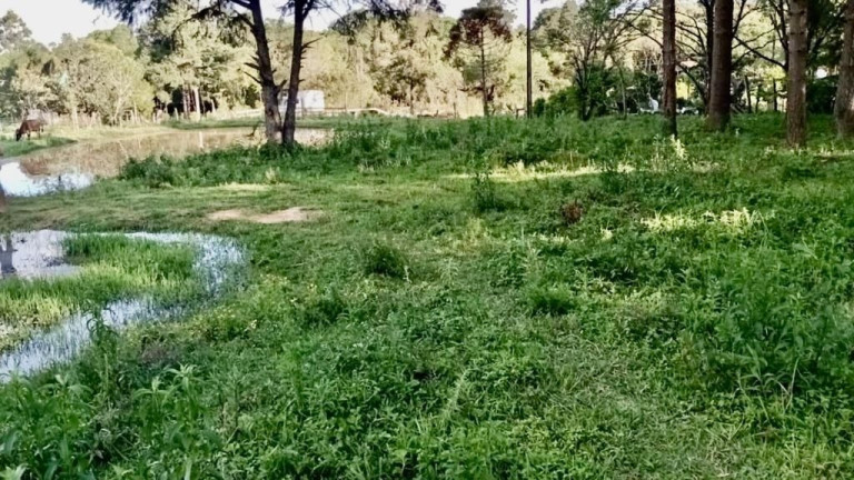 Imagem Fazenda à Venda, em Zona Rural (bugre) - Balsa Nova Imagem Fazenda à Venda, em Zona Rural (bugre) - Balsa Nova