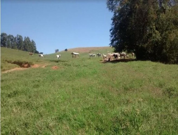 Imagem Fazenda à Venda, 500 m² em Centro - Lagoinha Imagem Fazenda à Venda, 500 m² em Centro - Lagoinha