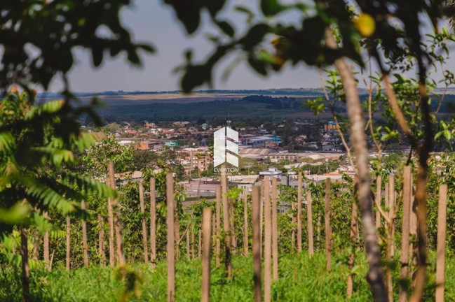 Imagem Terreno à Venda, 300 m² em Tomazetti - Santa Maria Imagem Terreno à Venda, 300 m² em Tomazetti - Santa Maria