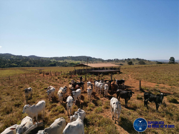Imagem Chácara à Venda, 3 m² em Zona Rural - Avelinópolis Imagem Chácara à Venda, 3 m² em Zona Rural - Avelinópolis