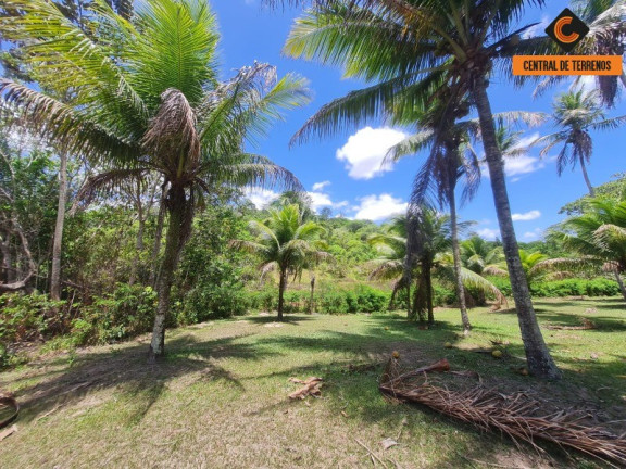 Imagem Imóvel com 2 Quartos à Venda, 466 m² em Jorrinho - Camaçari Imagem Imóvel com 2 Quartos à Venda, 466 m² em Jorrinho - Camaçari