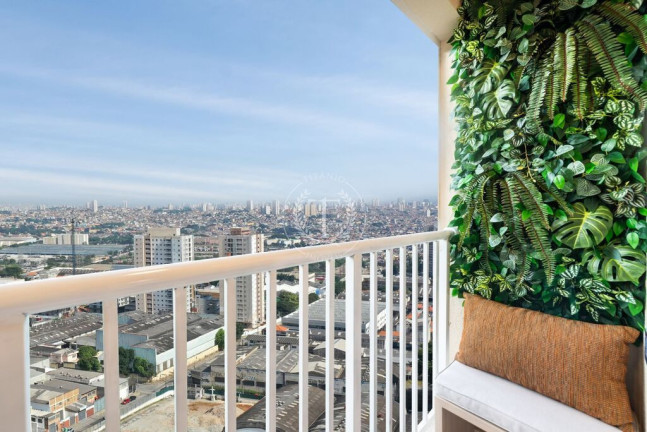 Imagem Apartamento com 2 Quartos à Venda, 37 m² em Jaraguá - São Paulo