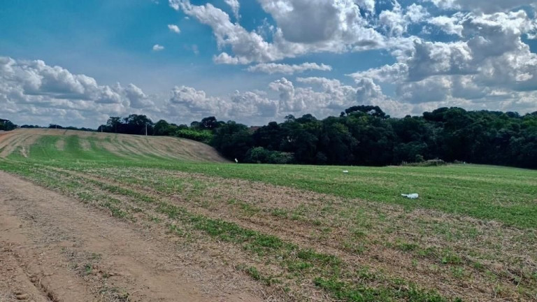 Fazenda à Venda,  em Zona Rural - Araucaria