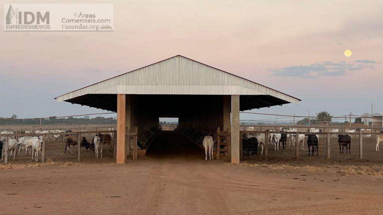 Imagem Chácara com 5 Quartos à Venda, 4.236 m² em Santa Terezinha