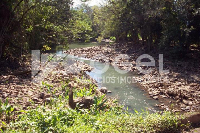 Imagem Imóvel à Venda,  em Três Pinheiros (distrito) - Itati