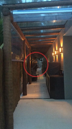 Imagem Casa com 4 Quartos para Temporada, 33.000 m² em Juquehy - São Sebastião