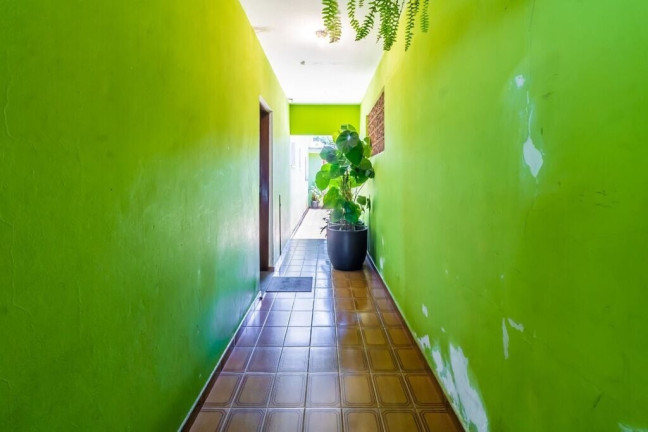 Imagem Casa com 3 Quartos à Venda, 175 m² em Vila Matilde - São Paulo