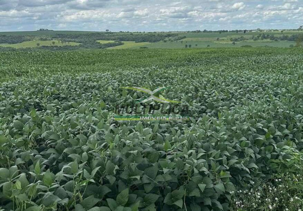 Fazenda à Venda, 435 m² em Uberaba