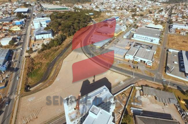 Imagem Terreno à Venda, 11.062 m² em águas Belas - São José Dos Pinhais