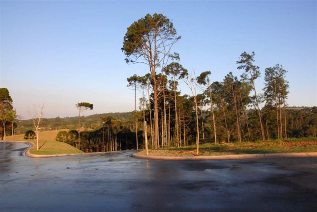 Imagem Casa com 3 Quartos à Venda, 260 m² em Moinho Velho - Cotia Imagem Casa com 3 Quartos à Venda, 260 m² em Moinho Velho - Cotia