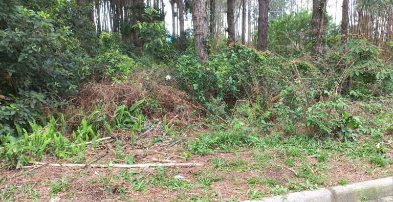 Imagem Terreno à Venda, 265 m² em Ambrósio - Garopaba