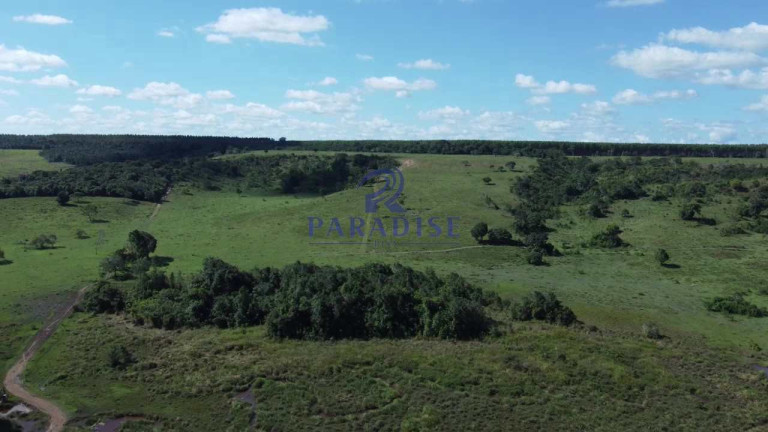 Imagem Fazenda à Venda, 1.925.928 m² em Zona Rural - Entre Rios Imagem Fazenda à Venda, 1.925.928 m² em Zona Rural - Entre Rios