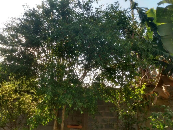 Imagem Chácara com 2 Quartos à Venda, 2.048 m² em Bairro Do Cercado - Araçoiaba Da Serra Imagem Chácara com 2 Quartos à Venda, 2.048 m² em Bairro Do Cercado - Araçoiaba Da Serra