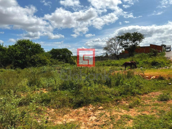 Imagem Terreno à Venda, 5.263 m² em Carmelo - Montes Claros Imagem Terreno à Venda, 5.263 m² em Carmelo - Montes Claros