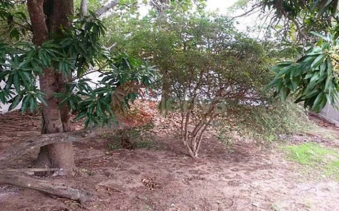 Imagem Casa com 2 Quartos à Venda, 360 m² em Caminho De Búzios - Cabo Frio