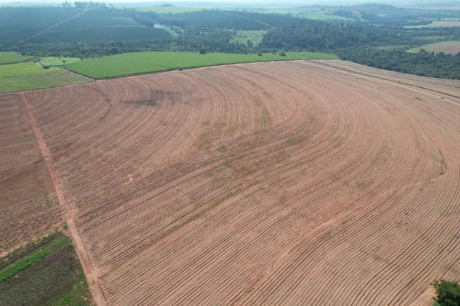 Imagem Chácara à Venda, 43 m² em Zona Rural - Tambaú Imagem Chácara à Venda, 43 m² em Zona Rural - Tambaú
