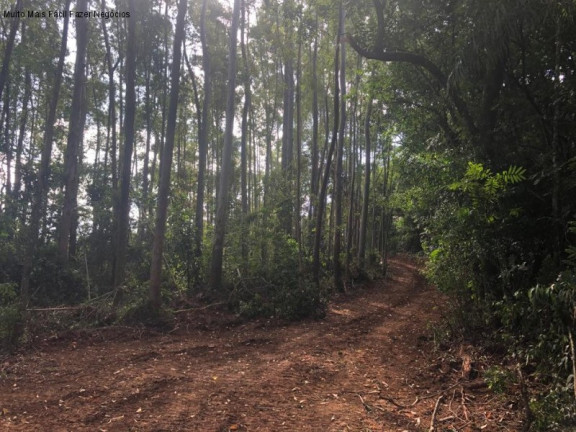 Imagem Terreno à Venda, 3 m² em Linha Olinda - Nova Petrópolis